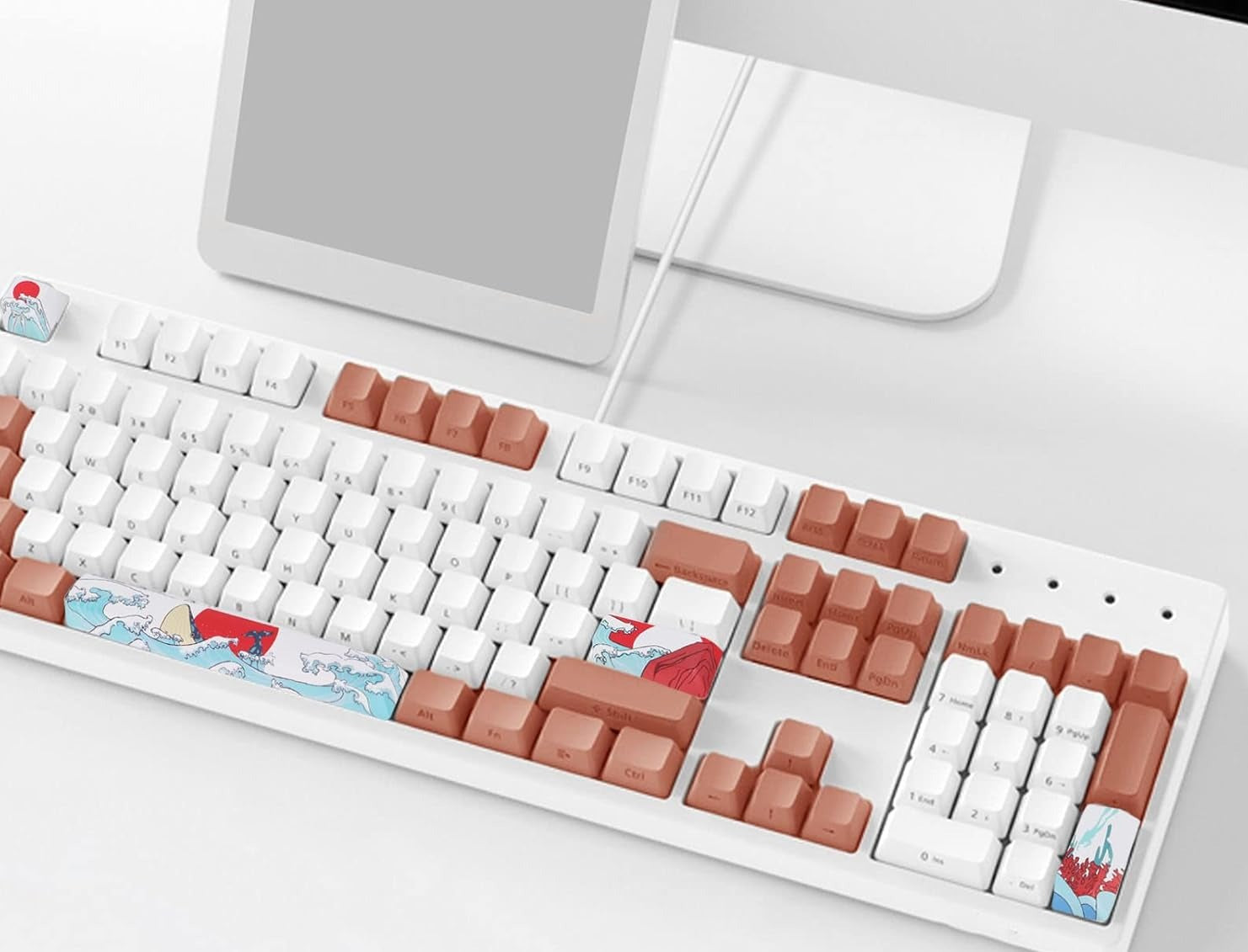 Custom Esc Enter Shift & Spacebar Key Caps (4 Pk.) - Vivid Setups