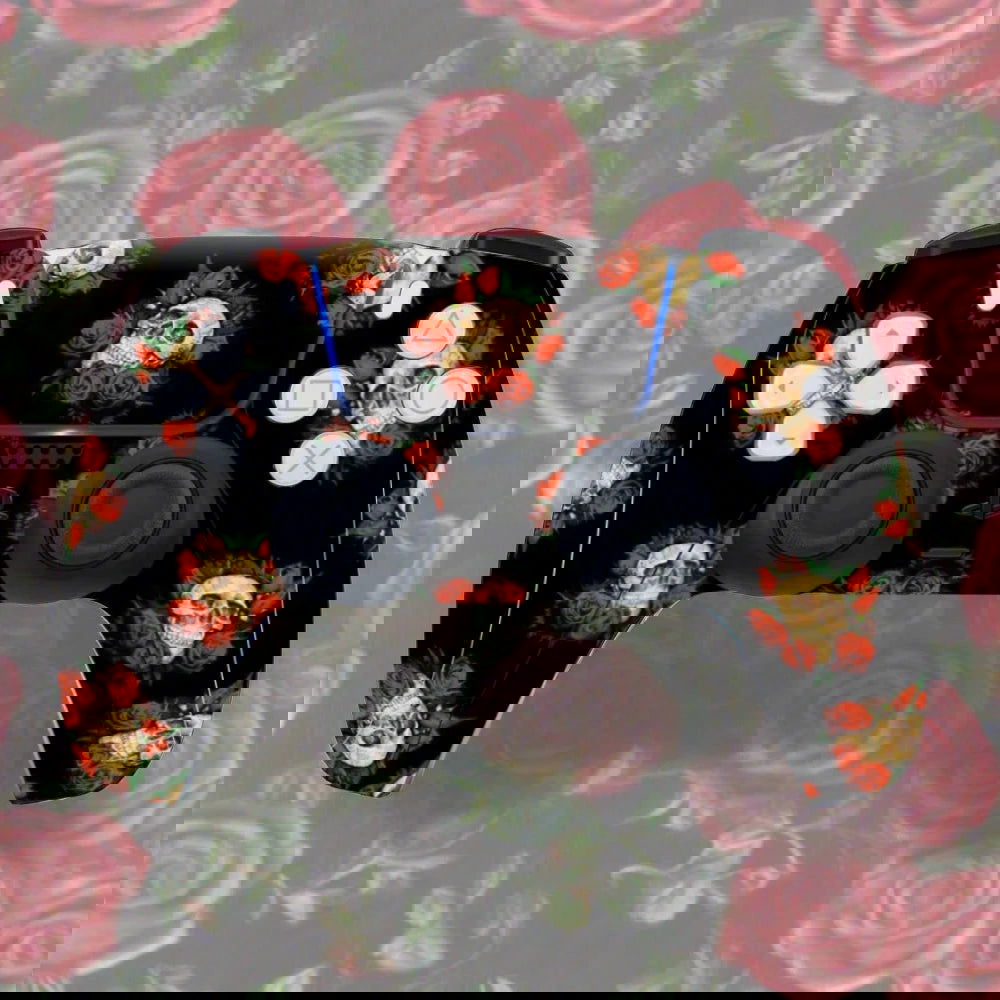 PlayStation 5 Controller Protective Decal Skin Sticker - Vivid Setups